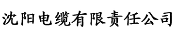 狠狠干干干电缆厂logo